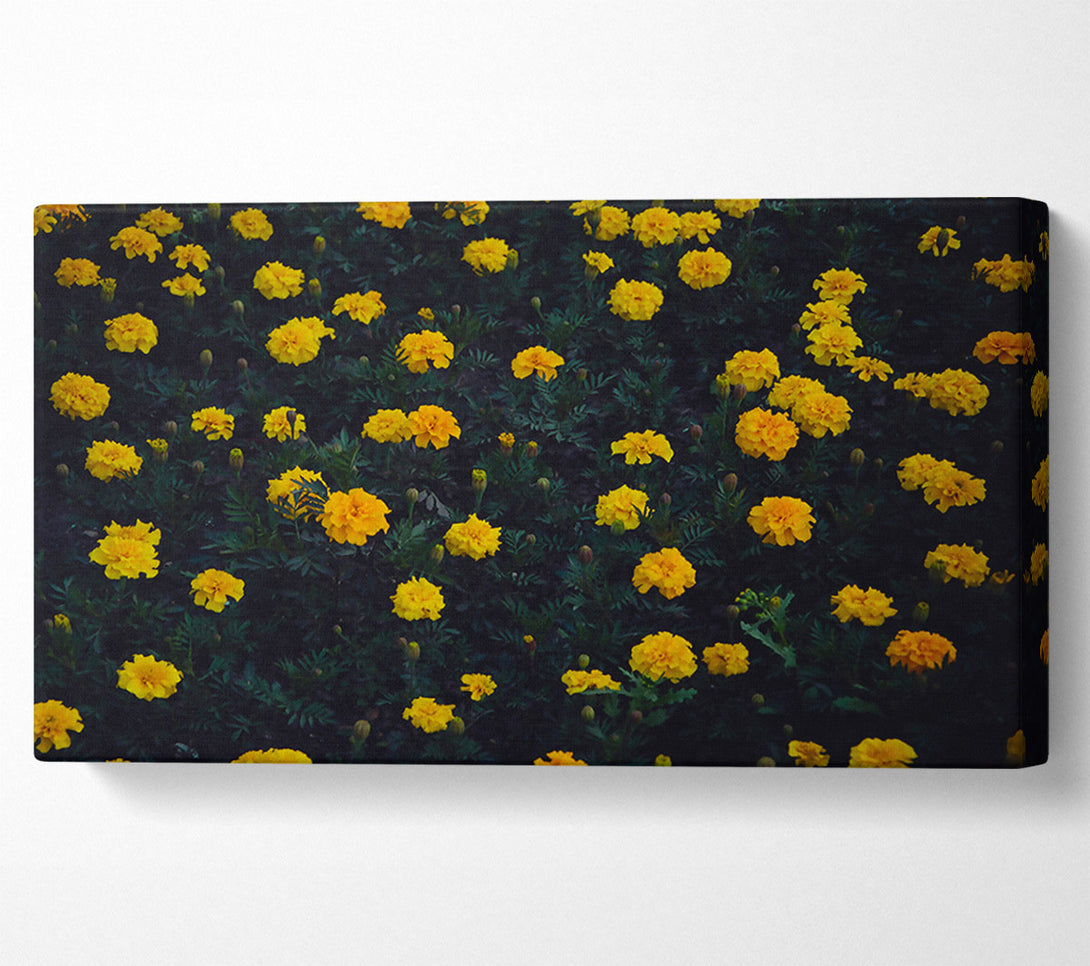  A Canvas Print of Golden Bloom Field Canvas Art