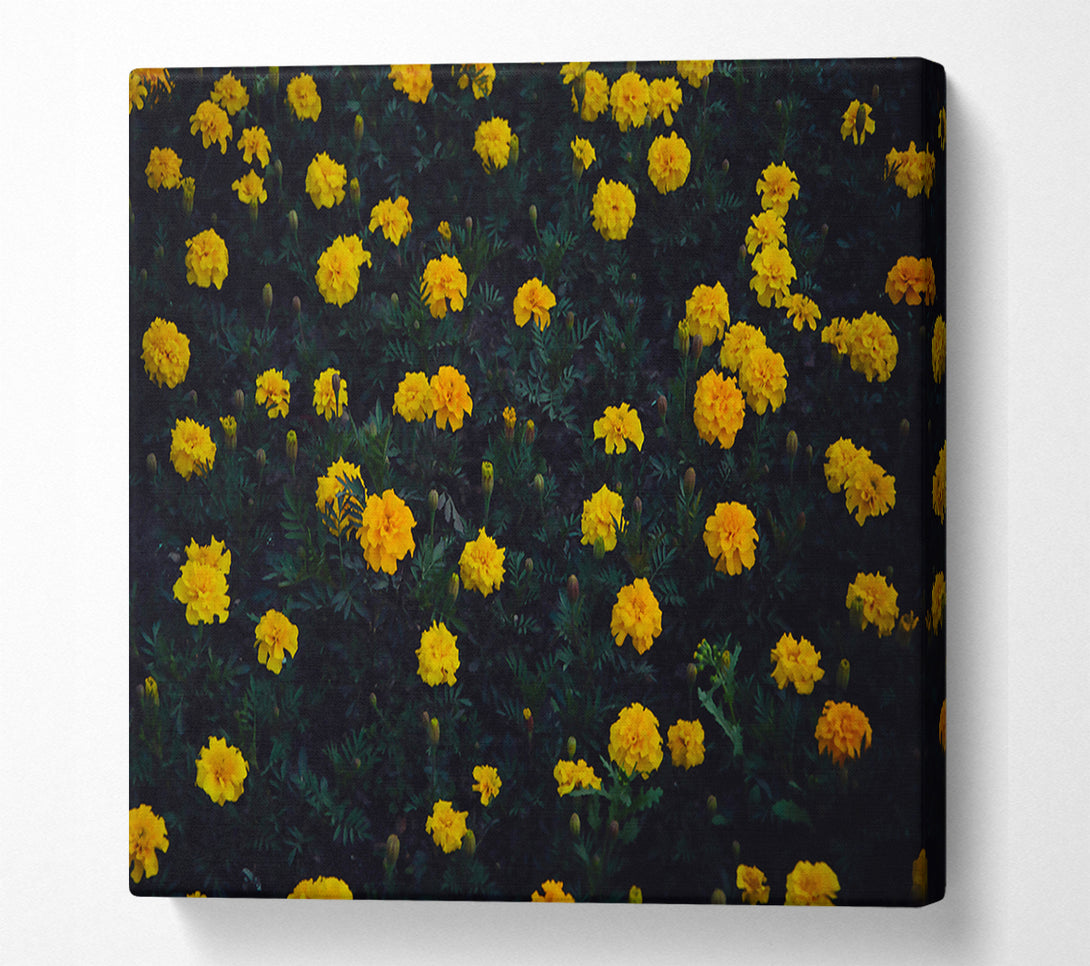  A Canvas Print of Golden Bloom Field Canvas Art