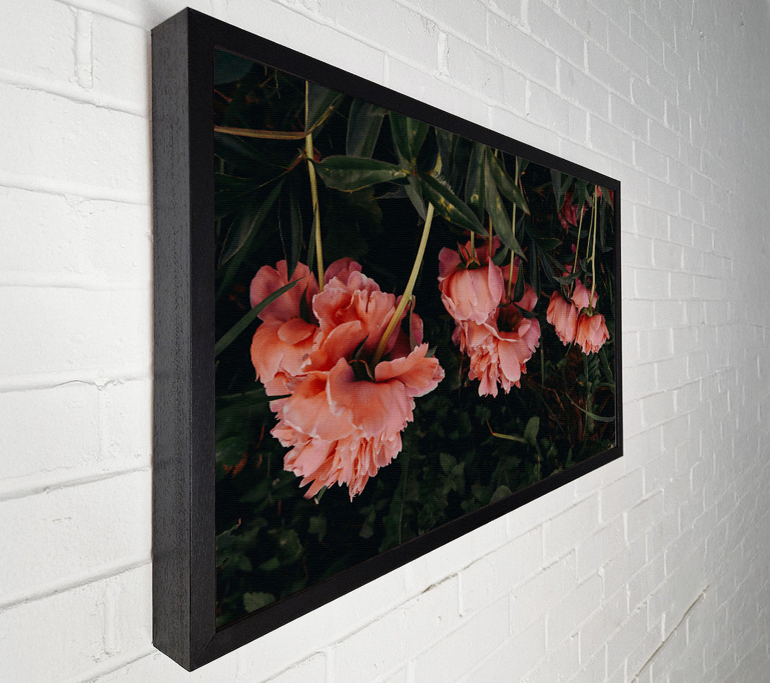  A Canvas Print of Pink Blooms In The Dark Canvas Wall Art