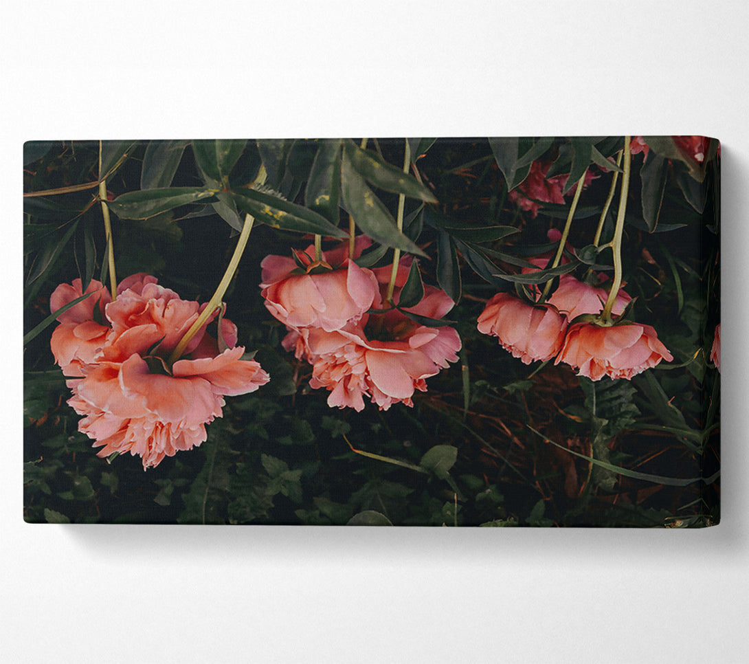  A Canvas Print of Pink Blooms In The Dark Canvas Wall Art