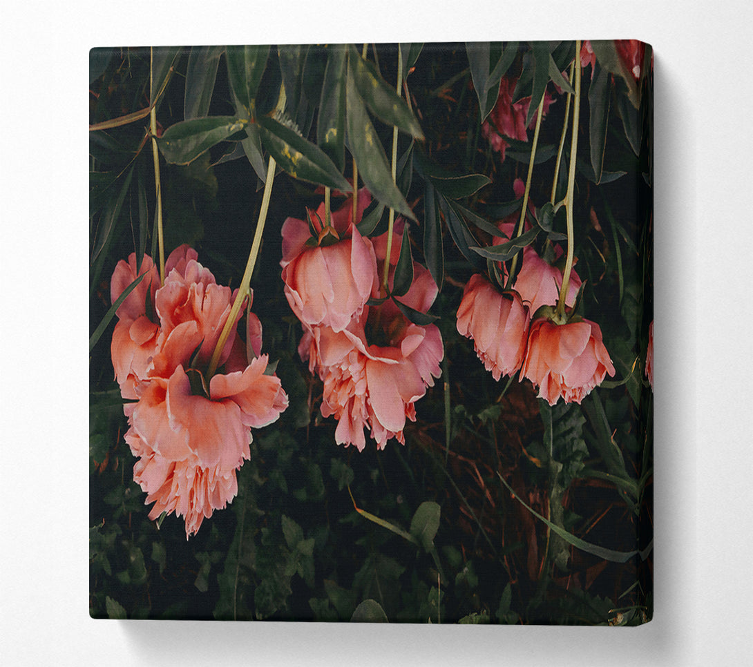  A Canvas Print of Pink Blooms In The Dark Canvas Wall Art