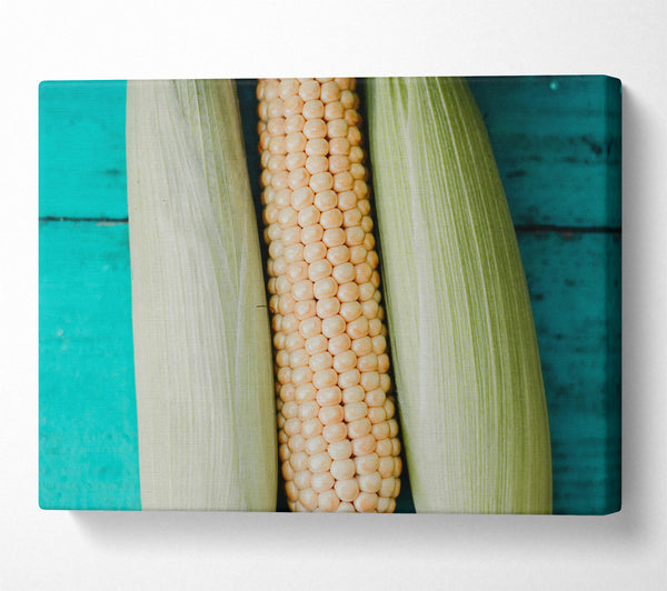  A Canvas Print of Golden Corn On Teal Canvas Print