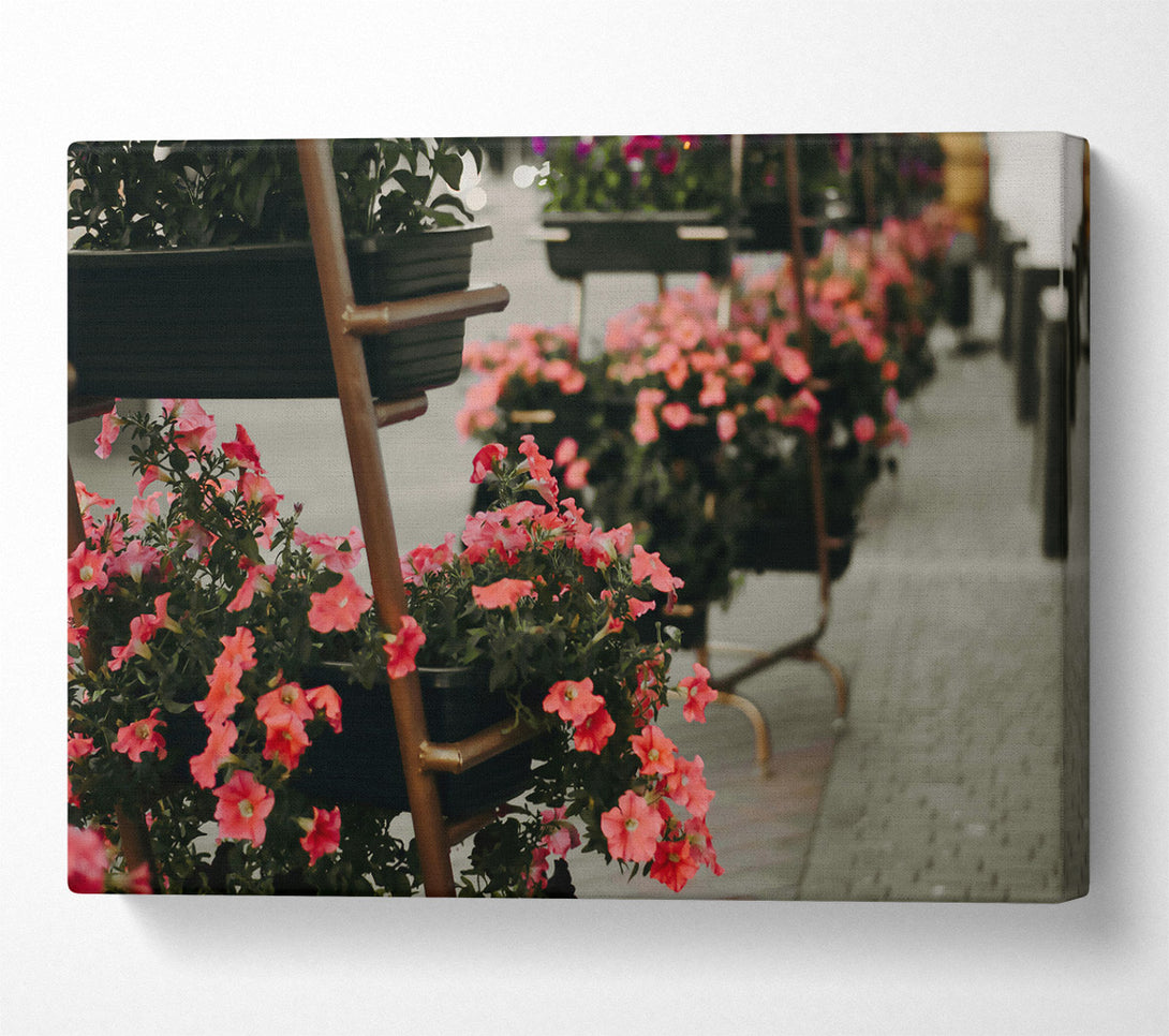  A Canvas Print of Loading... Canvas Print