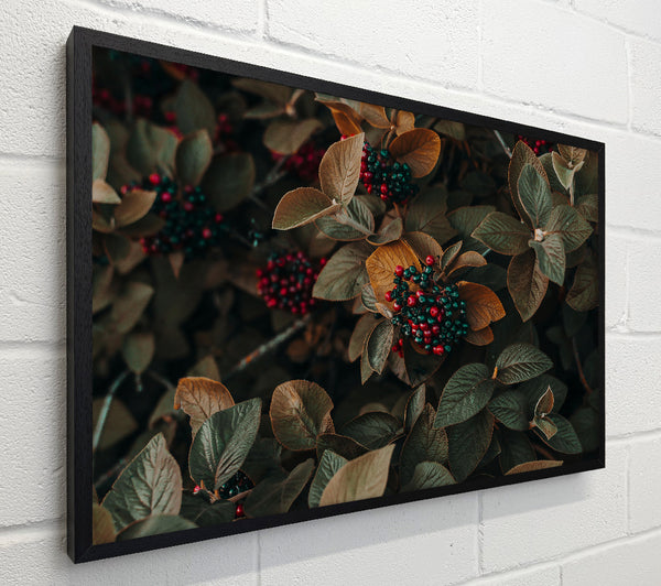 Red Berries In Autumn Leaves