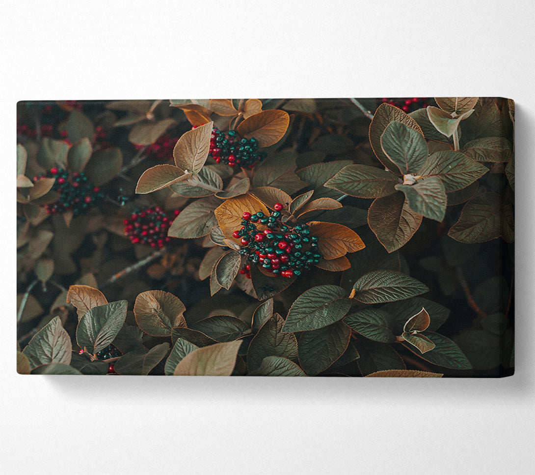  A Canvas Print of Red Berries In Autumn Leaves Canvas Wall Art