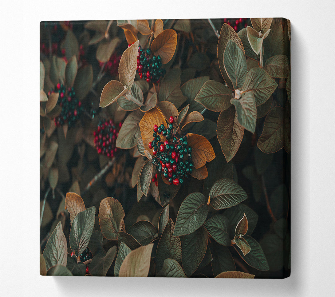  A Canvas Print of Red Berries In Autumn Leaves Canvas Wall Art