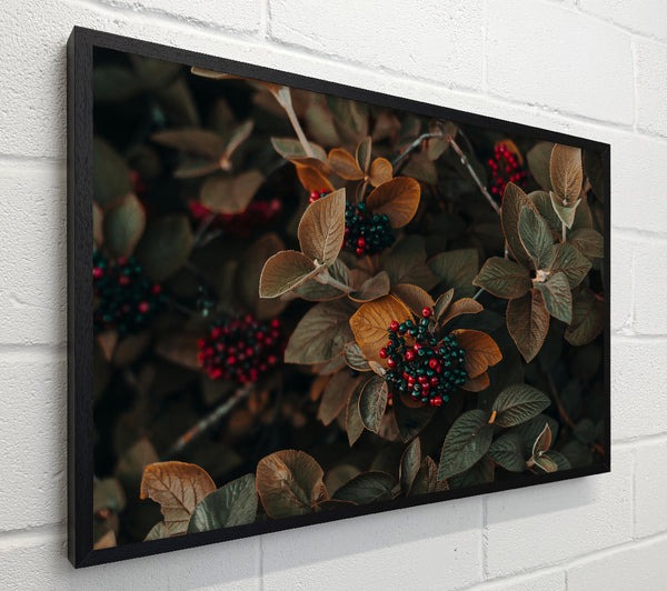 Burgundy Autumn Berries