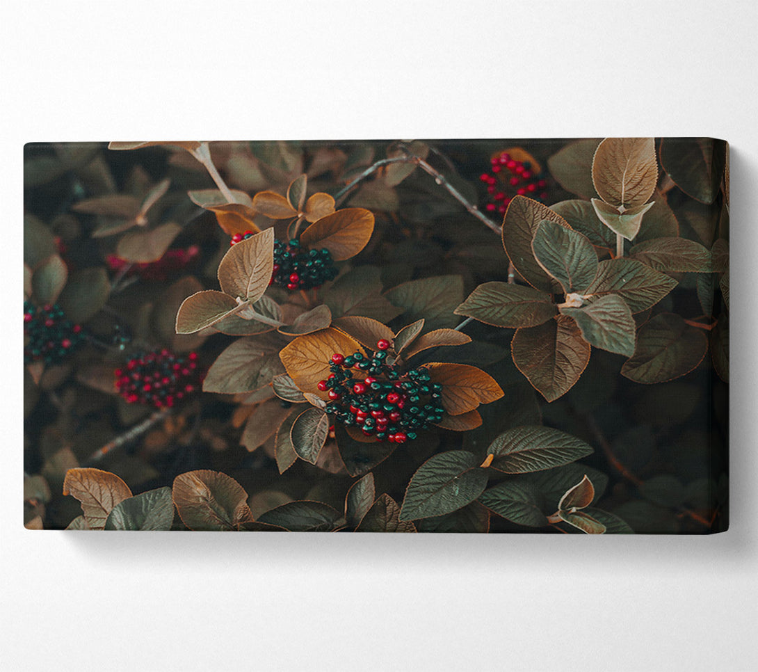  A Canvas Print of Burgundy Autumn Berries Canvas Print
