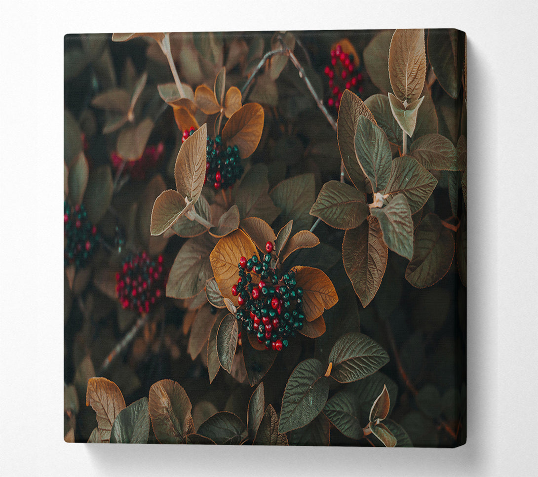  A Canvas Print of Burgundy Autumn Berries Canvas Print