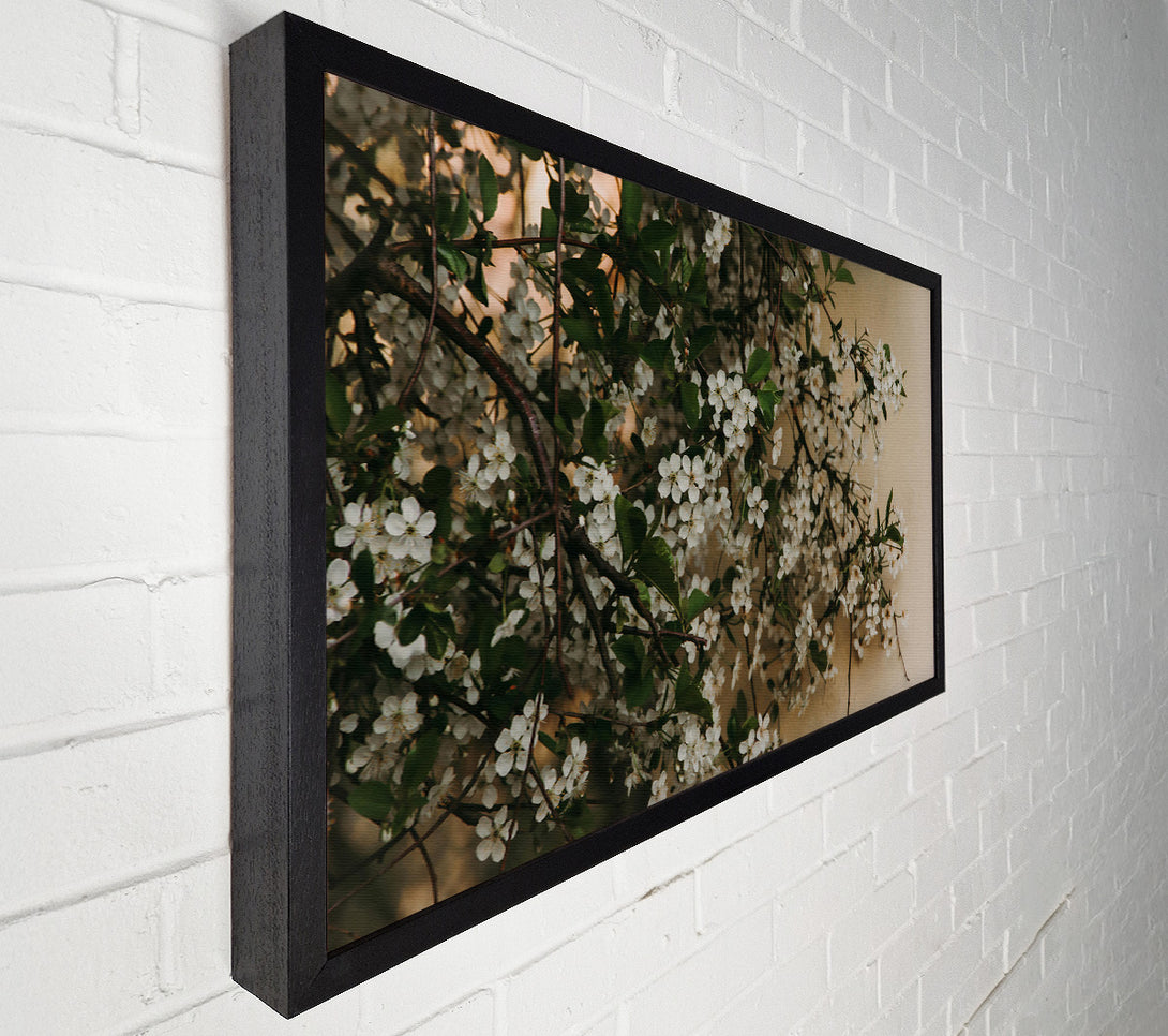  A Canvas Print of White Blossoms On Beige Canvas Print