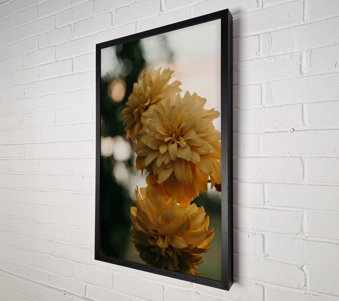  A Canvas Print of Golden Blooms In Focus Canvas Art