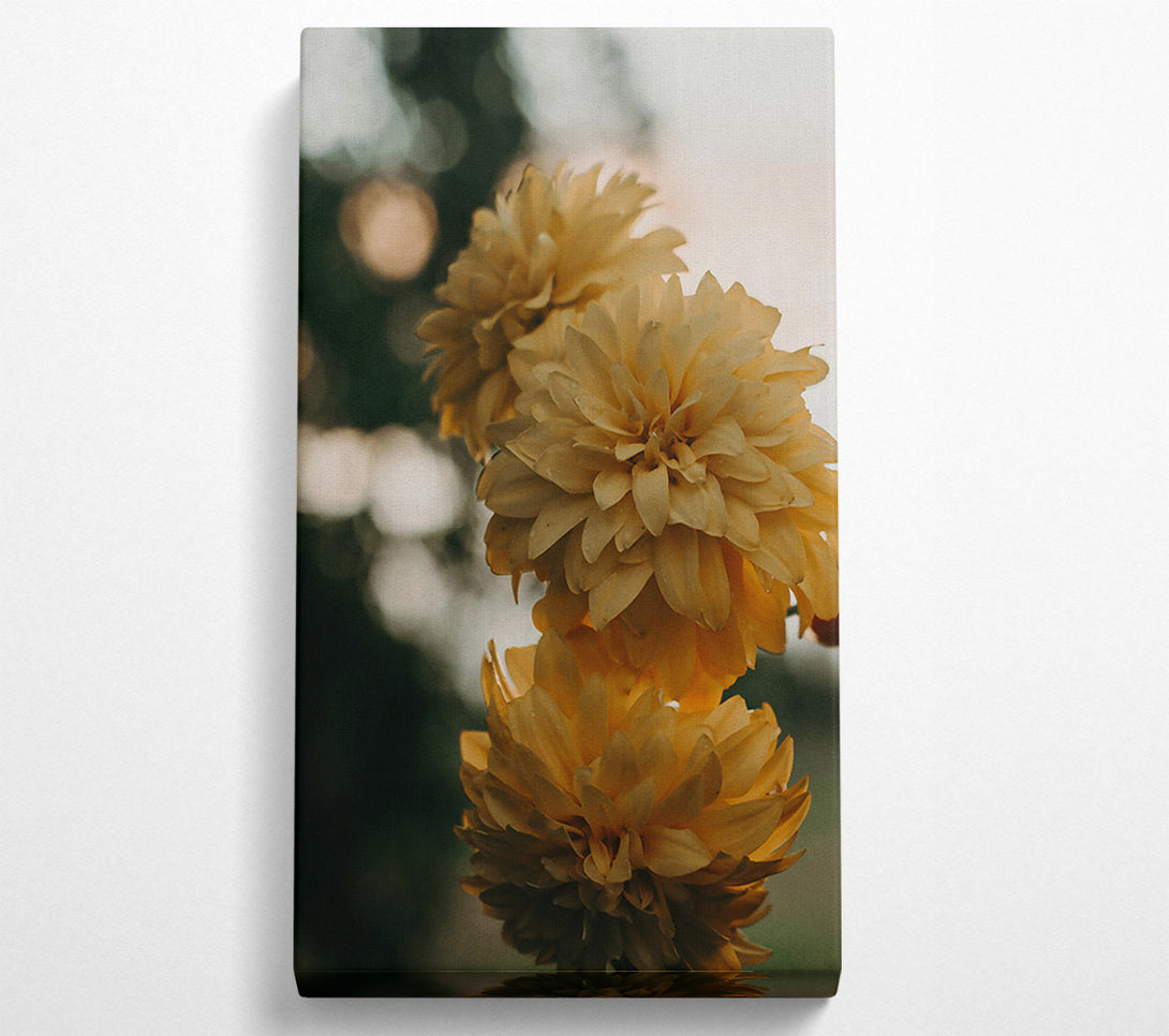  A Canvas Print of Golden Blooms In Focus Canvas Art
