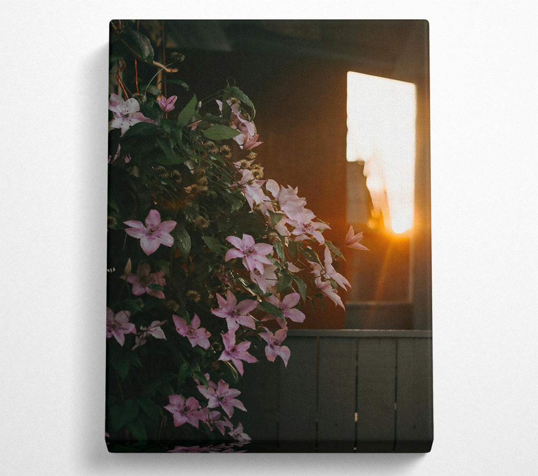  A Canvas Print of Golden Hour Blooms Canvas Art
