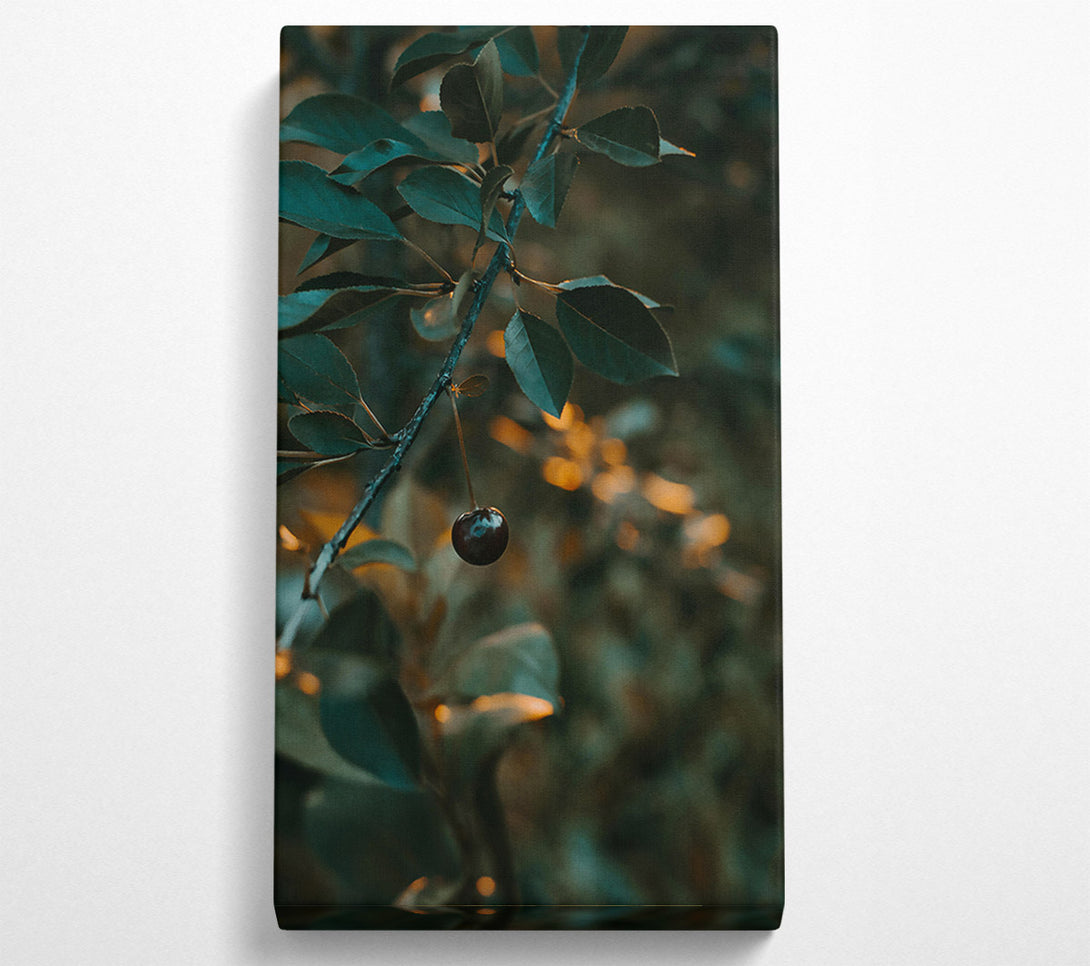  A Canvas Print of Teal Leaf And Cherry Canvas Wall Art