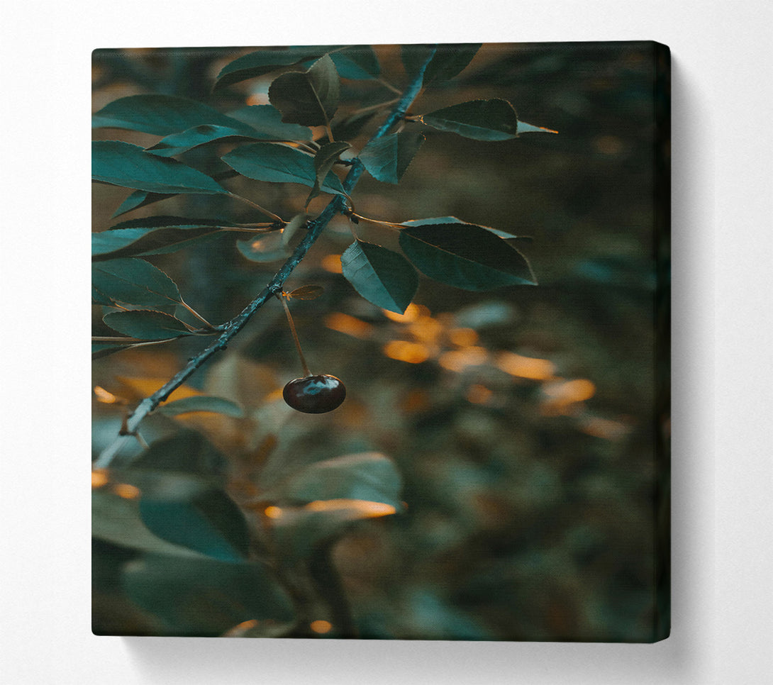  A Canvas Print of Teal Leaf And Cherry Canvas Wall Art
