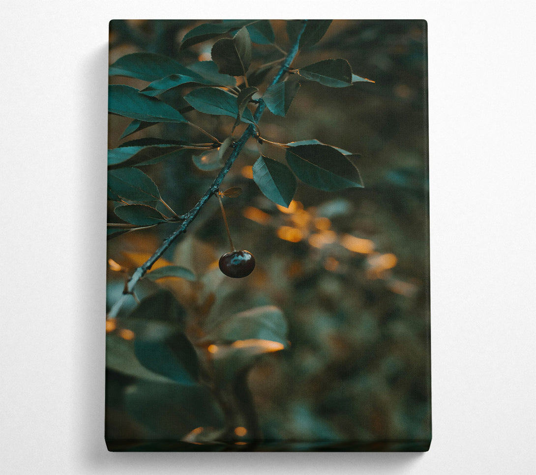  A Canvas Print of Teal Leaf And Cherry Canvas Wall Art