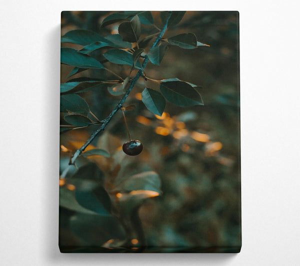  A Canvas Print of Teal Leaf And Cherry Canvas Wall Art