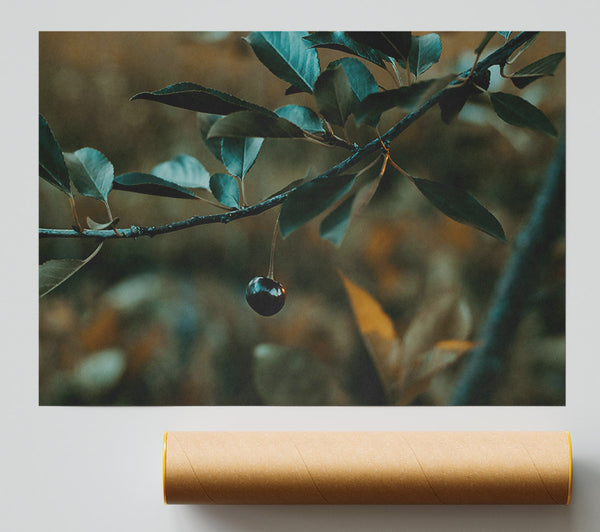 Teal Branch And Berry Poster