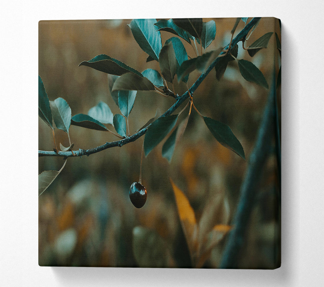  A Canvas Print of Teal Branch And Berry Canvas Print