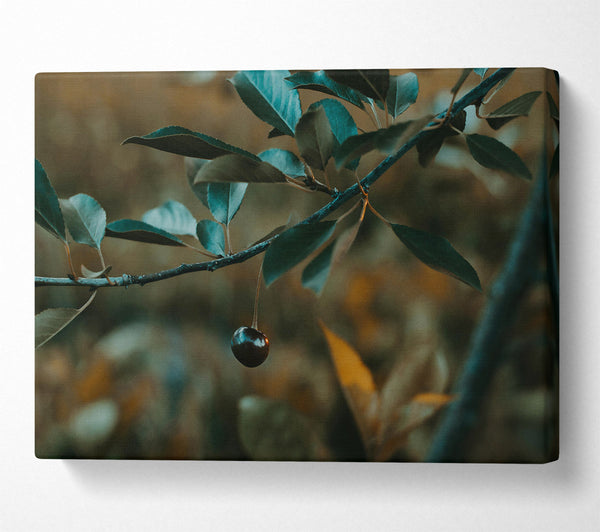  A Canvas Print of Teal Branch And Berry Canvas Print