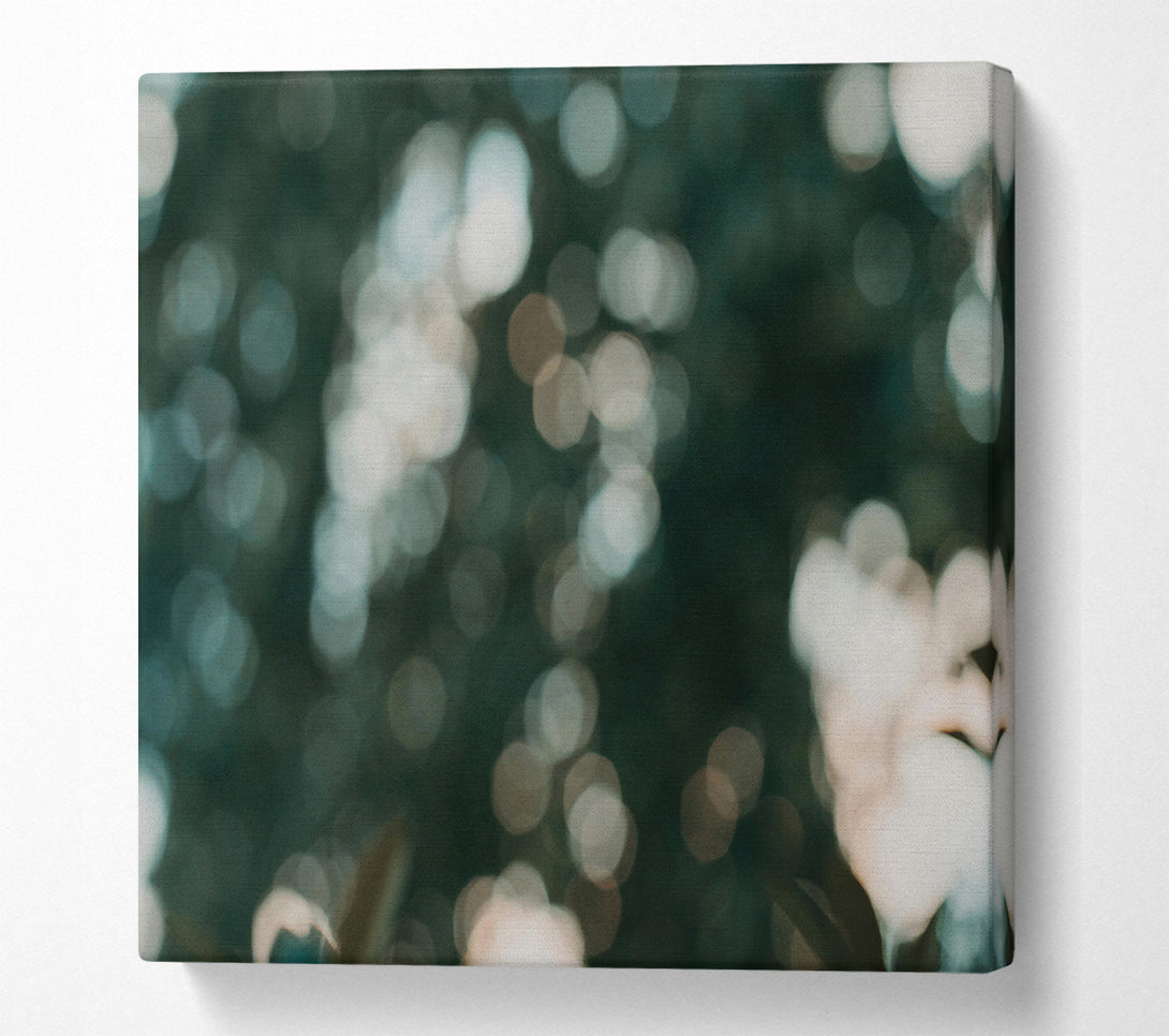  A Canvas Print of Emerald Light Dappled Canvas Art