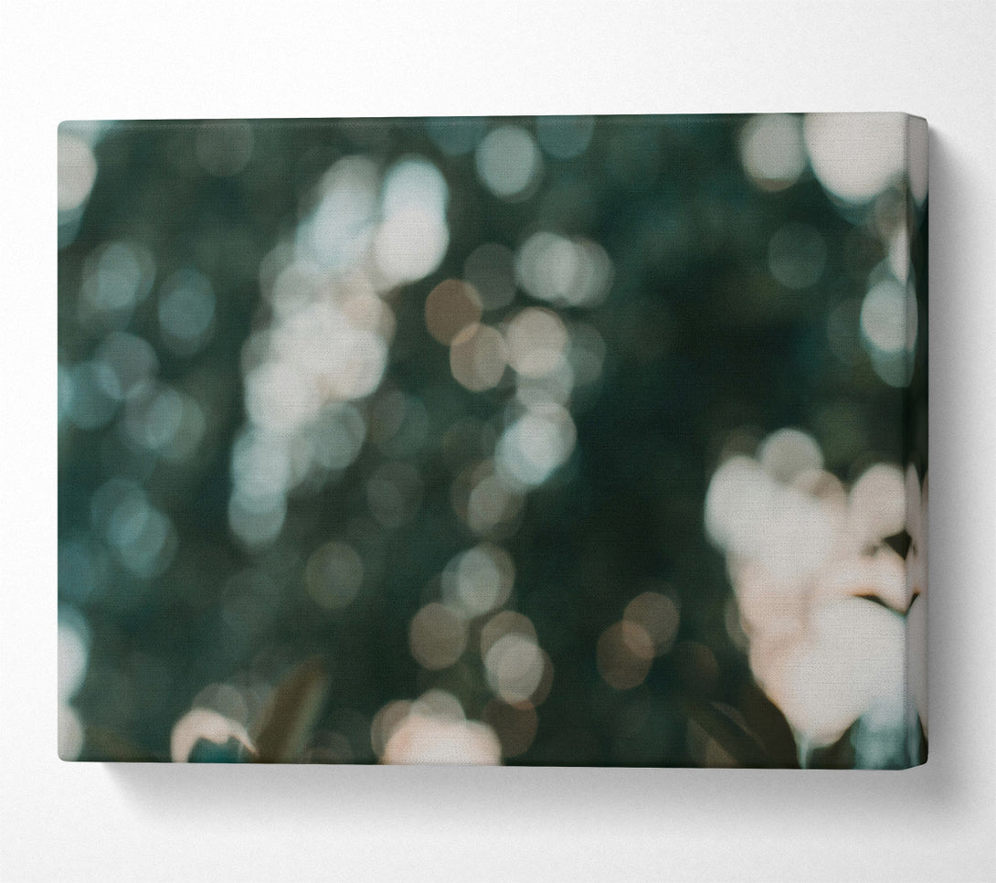  A Canvas Print of Emerald Light Dappled Canvas Art