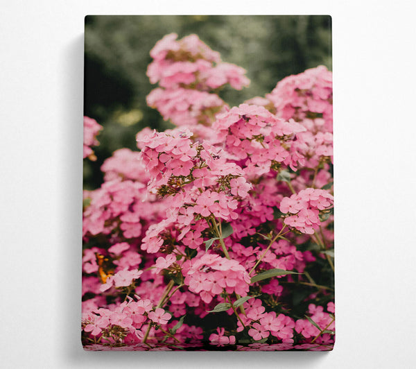  A Canvas Print of Pink Floral Abundance Canvas Wall Art