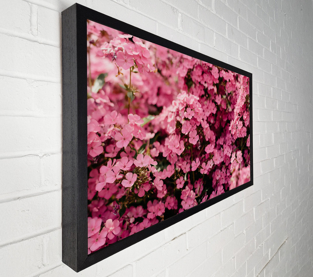  A Canvas Print of Pink Flower Field Canvas Art
