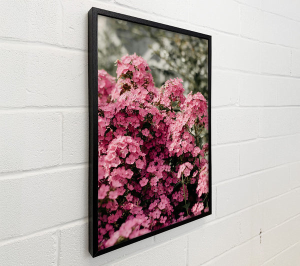 Pink Floral Abundance