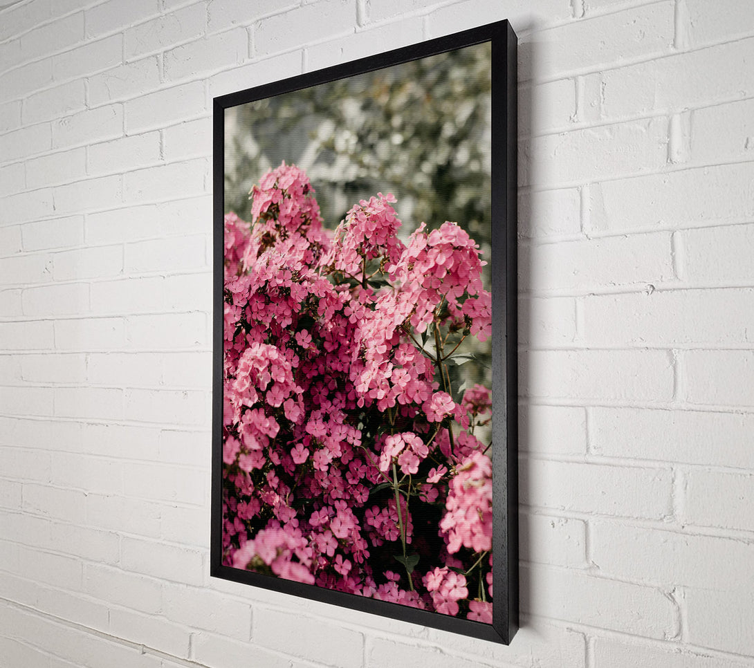  A Canvas Print of Pink Floral Abundance Canvas Wall Art