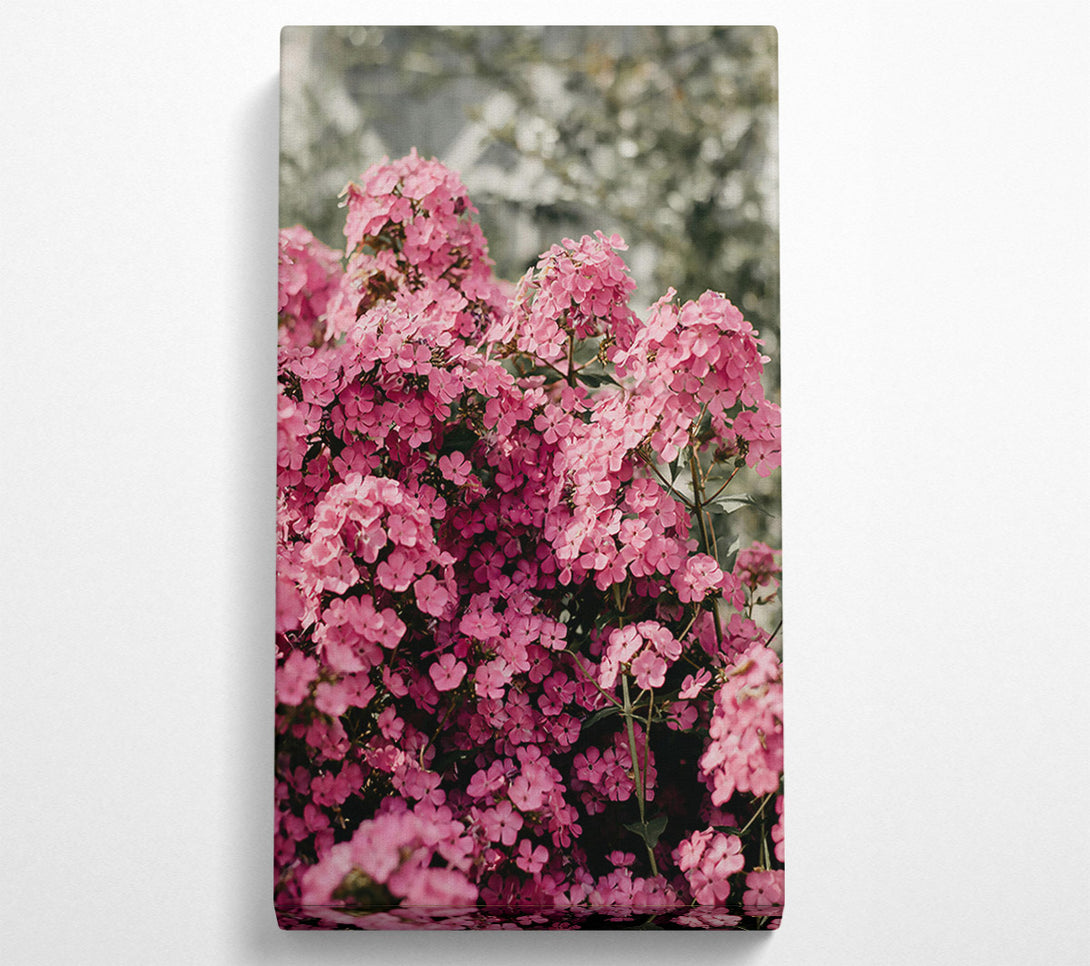  A Canvas Print of Pink Floral Abundance Canvas Wall Art