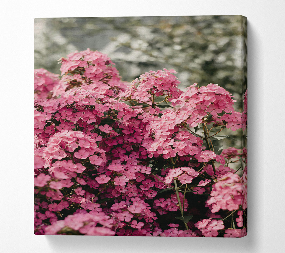  A Canvas Print of Pink Floral Abundance Canvas Wall Art