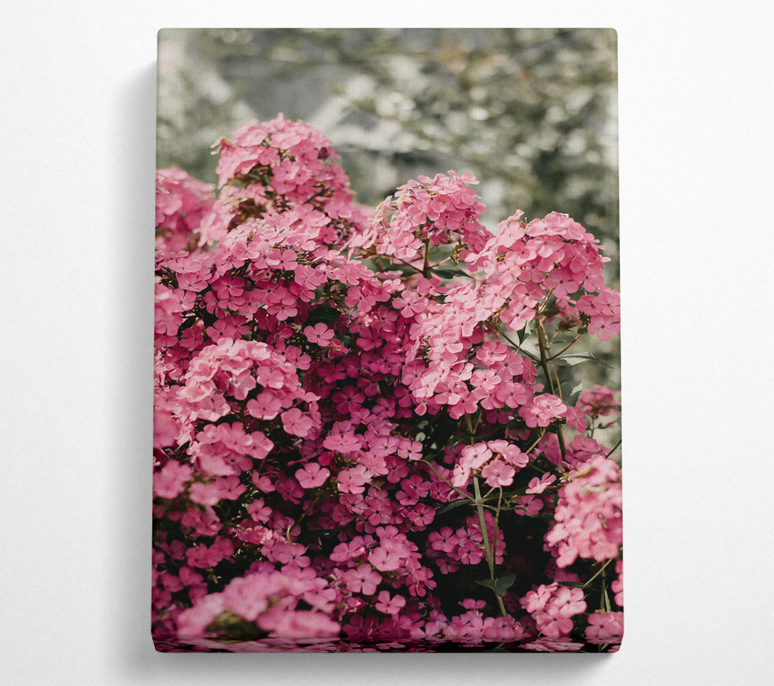  A Canvas Print of Pink Floral Abundance Canvas Wall Art