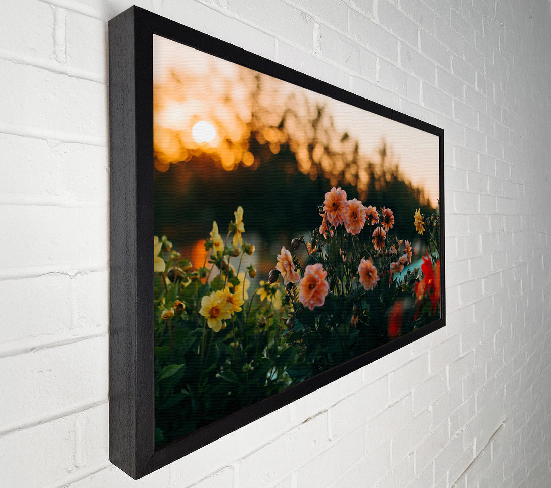  A Canvas Print of Peach Sunset Blooms Canvas Print