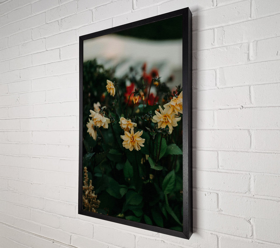 A Canvas Print of Golden Blooms In The Garden Canvas Art