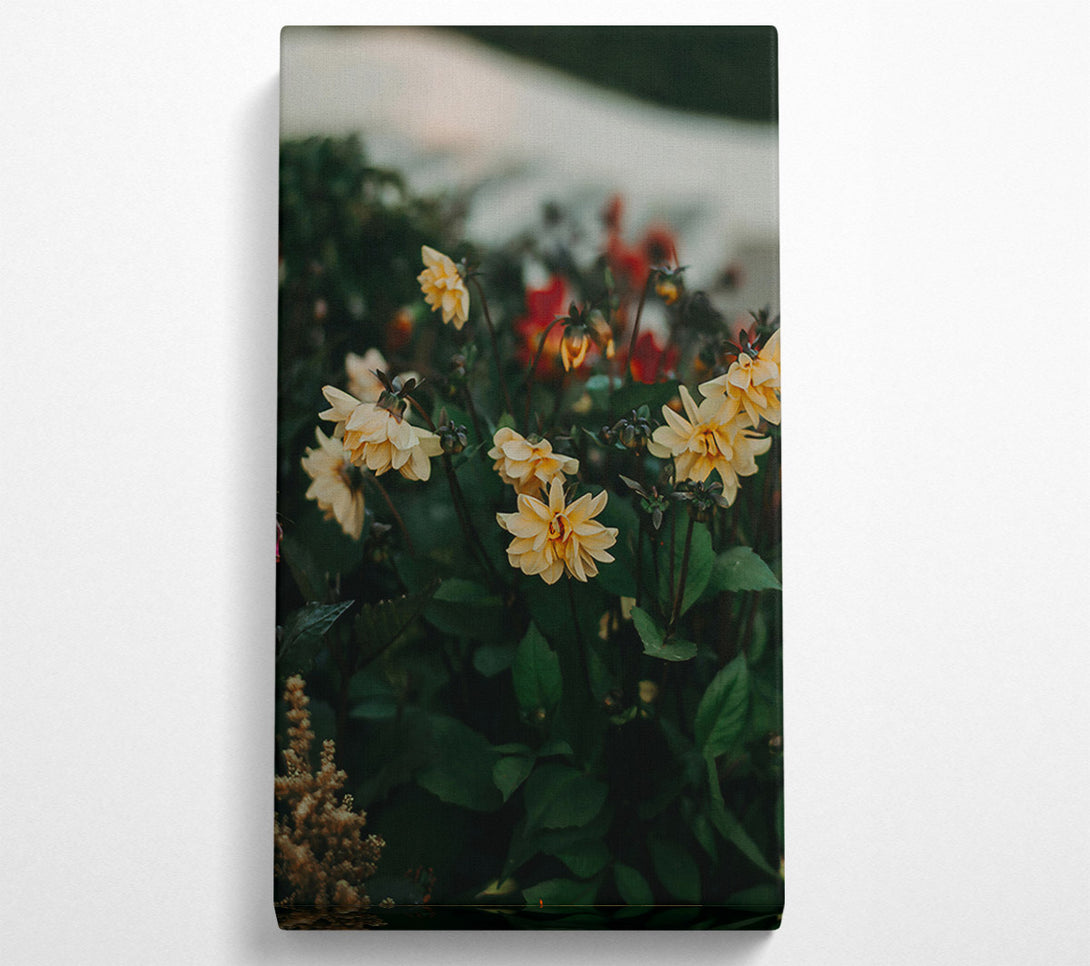  A Canvas Print of Golden Blooms In The Garden Canvas Art