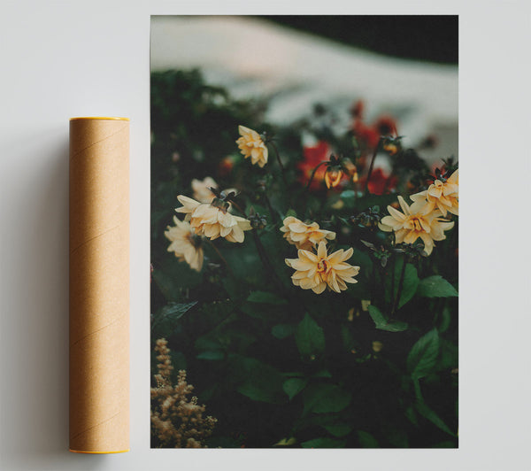 Golden Blooms In The Garden Poster
