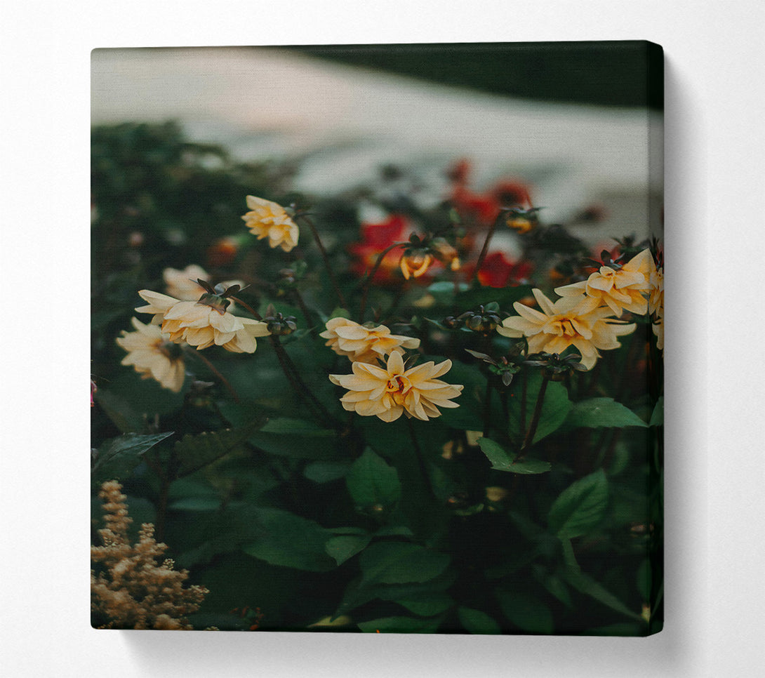  A Canvas Print of Golden Blooms In The Garden Canvas Art