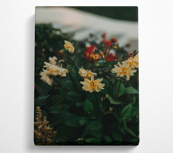  A Canvas Print of Golden Blooms In The Garden Canvas Art