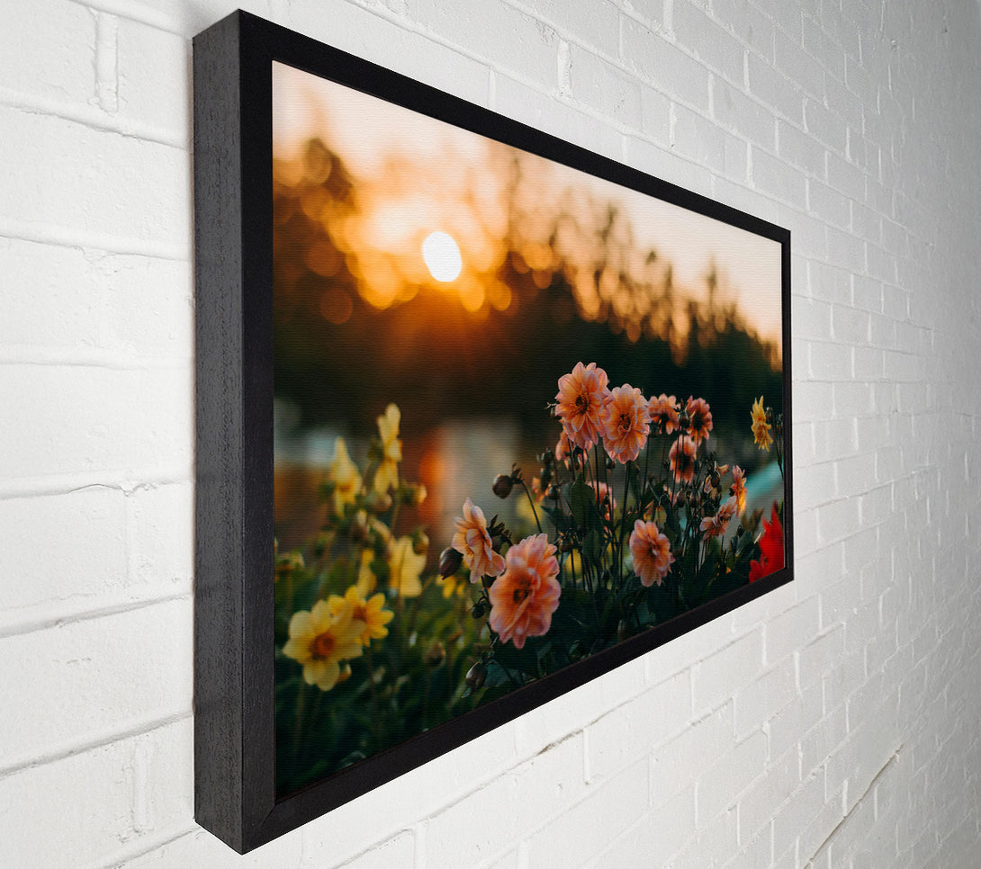 A Canvas Print of Peach Sunsets Blooms Canvas Wall Art