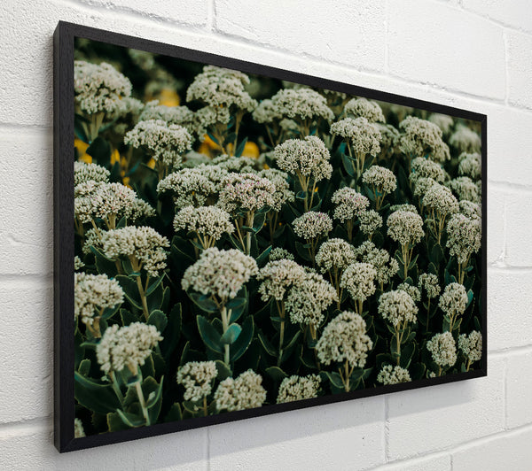 Green White Blooms
