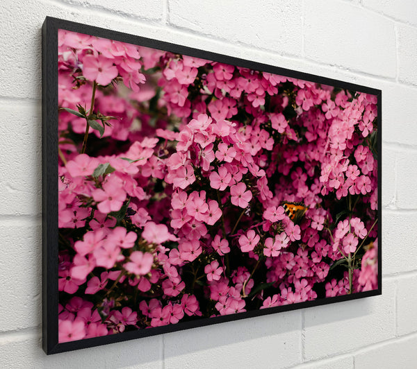 Pink Floral Symphony