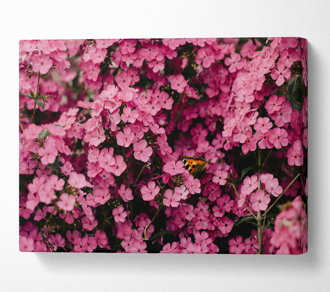  A Canvas Print of Pink Floral Symphony Canvas Wall Art