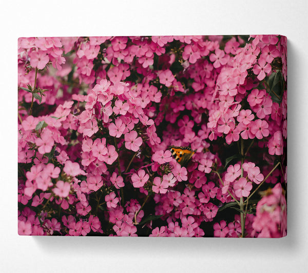  A Canvas Print of Pink Floral Symphony Canvas Wall Art