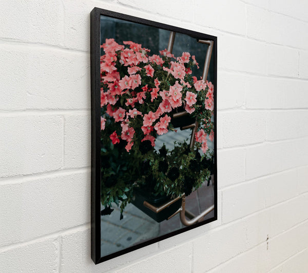Pink Petunias And Rust