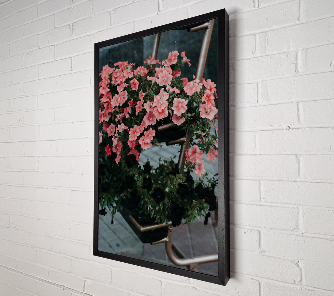  A Canvas Print of Pink Petunias And Rust Canvas Print