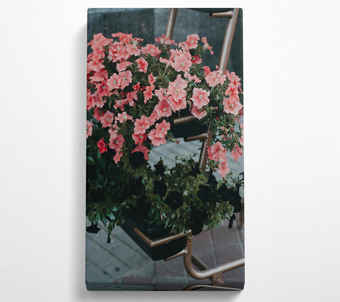  A Canvas Print of Pink Petunias And Rust Canvas Print