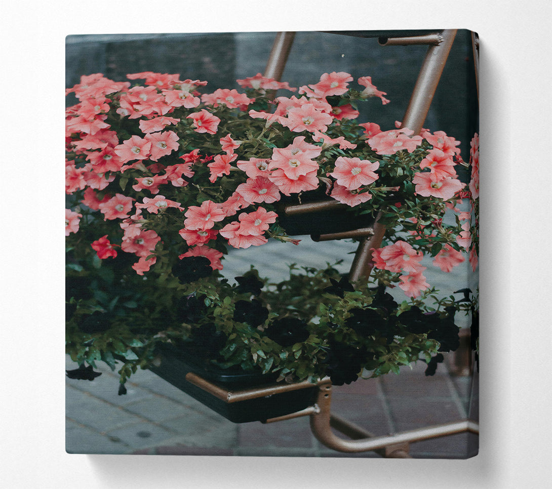  A Canvas Print of Pink Petunias And Rust Canvas Print
