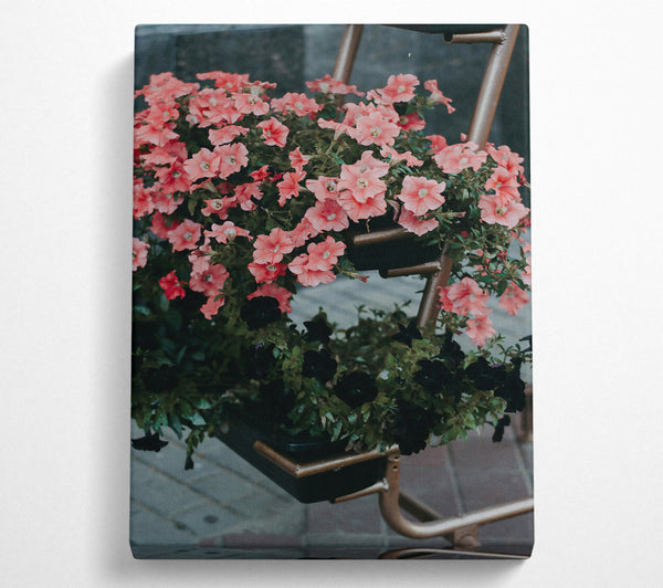  A Canvas Print of Pink Petunias And Rust Canvas Print