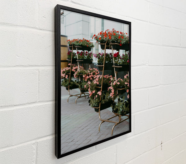 Pink Urban Blooms